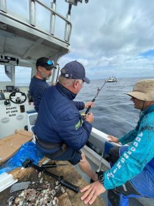 fighting fish offshore