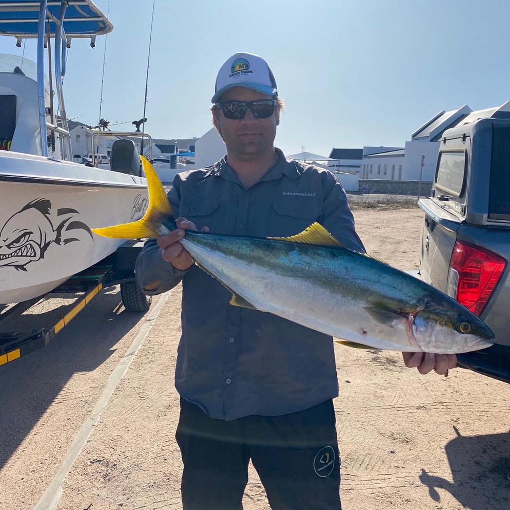 west coast inshore yellow tail