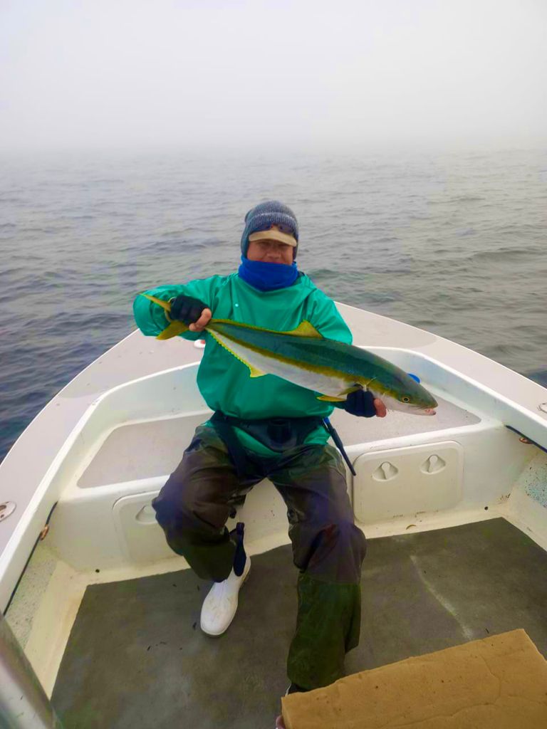 yellow tail inshore in west coast