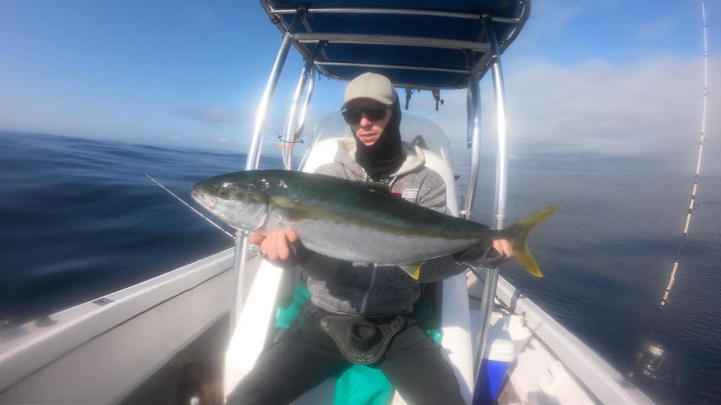 Yellow Tail inshore
