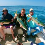 big yellow tail caught in cape town