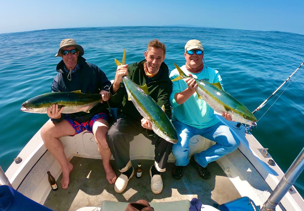 big yellow tail caught in cape town