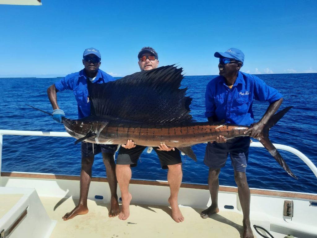 Madagascar Sailfish
