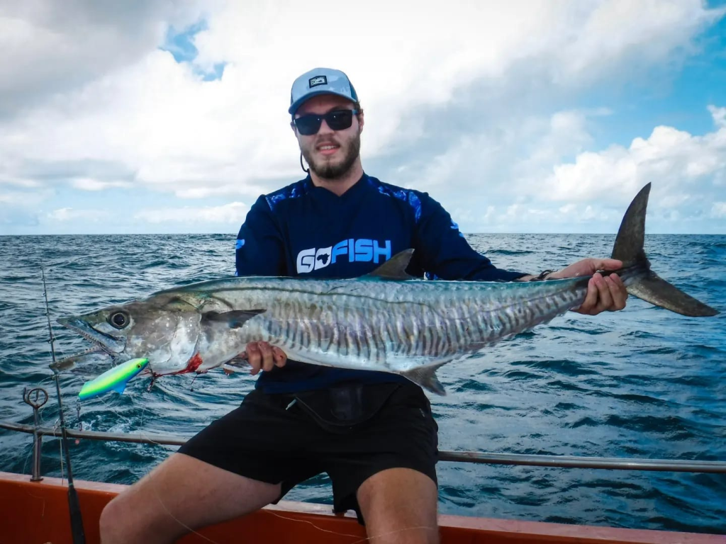 Mozambique Barracuda