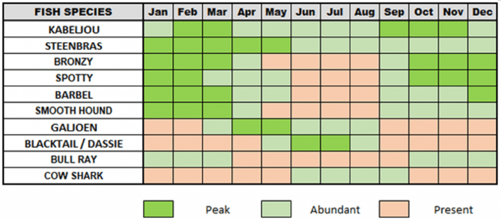 Namibian Fishing Season by species