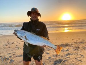 Kabeljou Namibia Cape Cross Erongo
