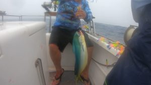 Offshore fishing cape town dorado