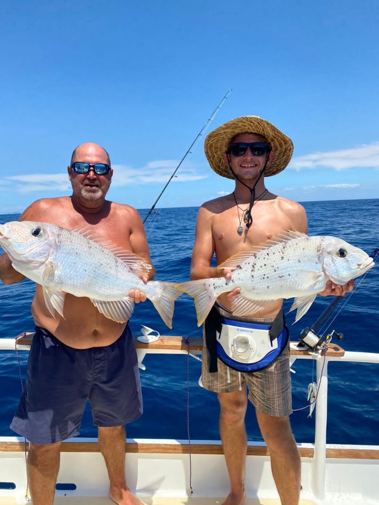 09ff1f42-2533-4d8f-a7b5-dd3480362795