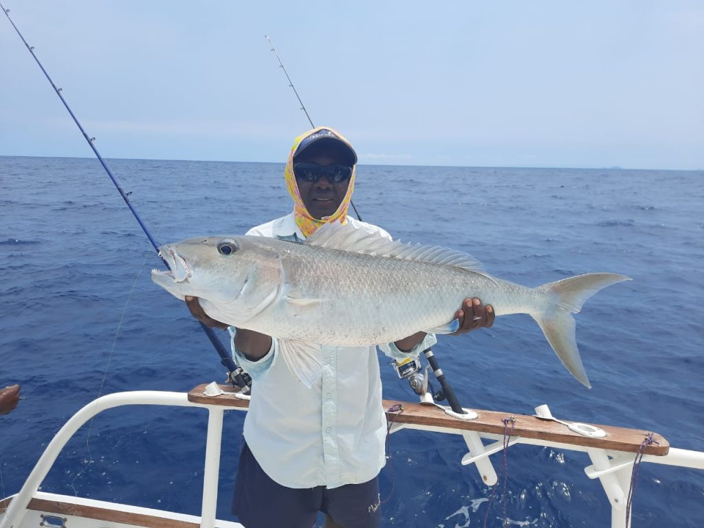 1a704651-0a26-484c-89e8-60c13ca46612