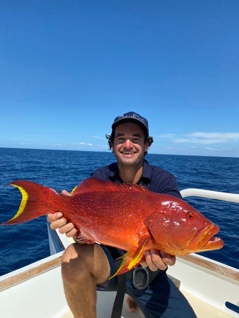 367a0c92-e31e-4fdf-b534-37122ee9f7e1