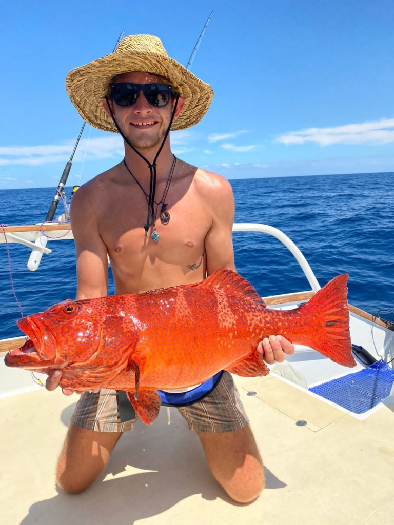 45c4b88f-91ee-4eaa-aa2a-dc0635e1ffdc