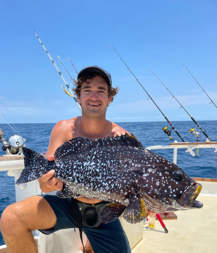 71506fc8-b3e5-46dd-9f0d-8359f69500c4