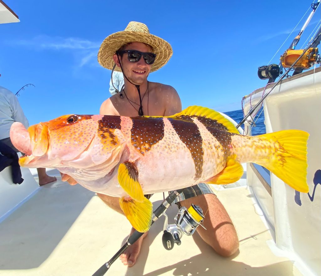 7272c771-9dc5-46dc-a2fa-3faa27ce6612