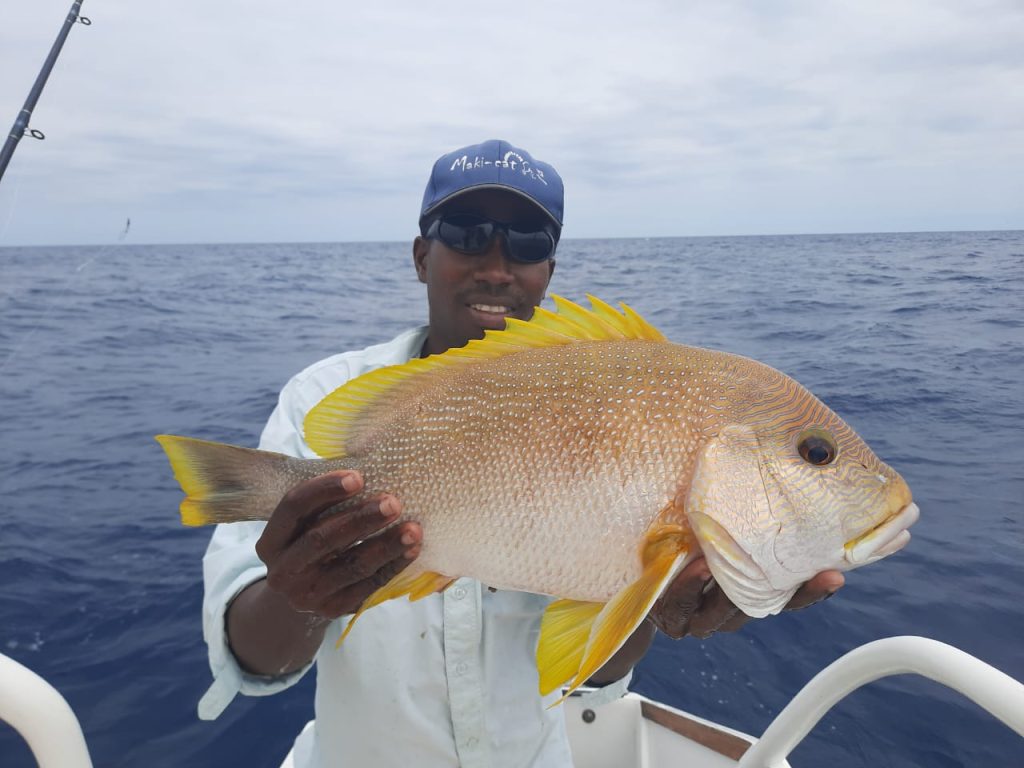 d3be58ee-8fb0-43a7-a203-ab3f6249337d