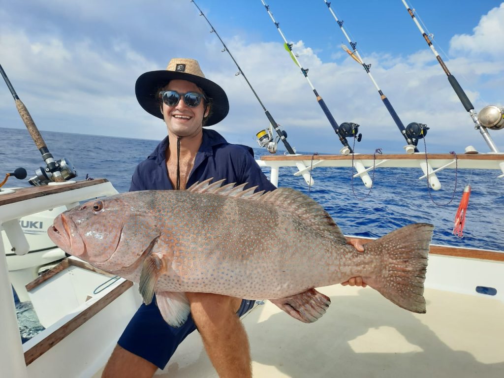 dc04e931-55d8-4039-88d0-ceeae91de36c